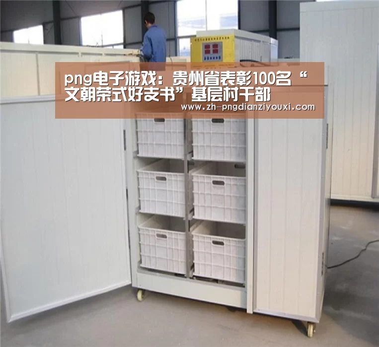 png电子游戏