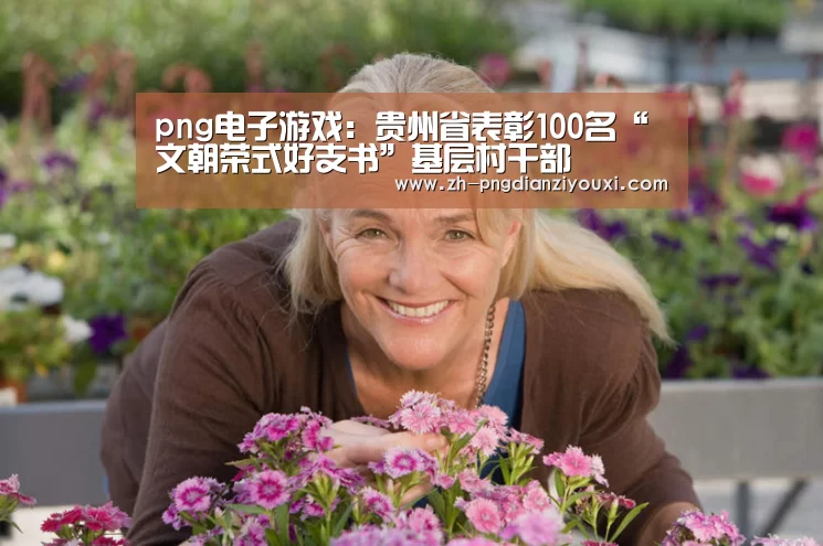 png电子游戏