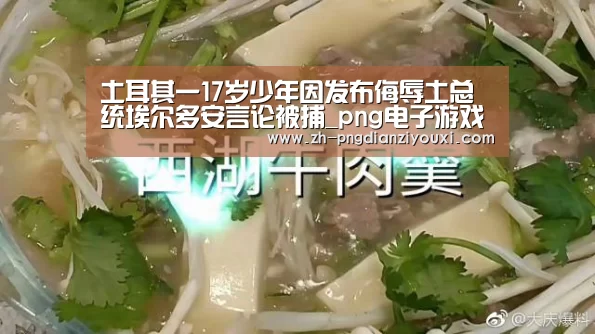 土耳其一17岁少年因发布侮辱土总统埃尔多安言论被捕_png电子游戏(图2) png电子游戏