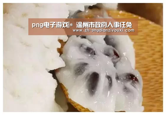 png电子游戏|*
温州市政府人事任免(图3) png电子游戏