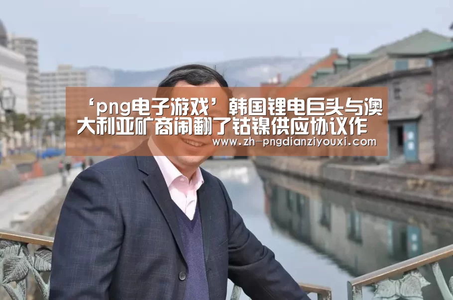 png电子游戏