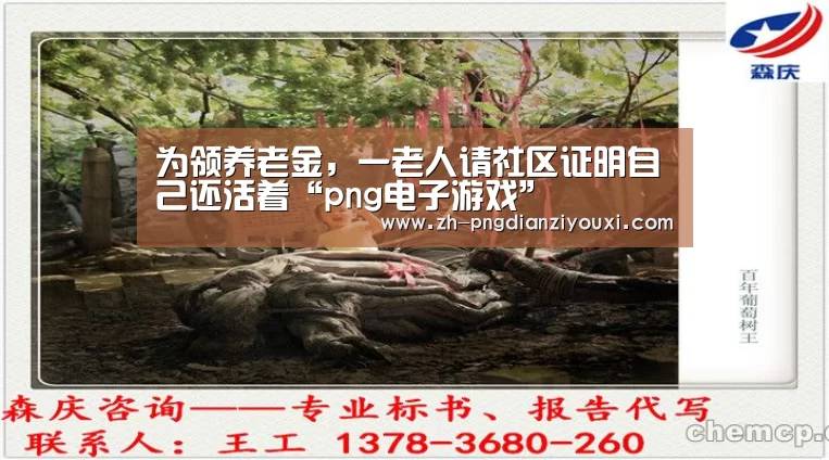 png电子游戏