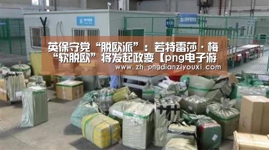 英保守党“脱欧派”:若特雷莎·梅“软脱欧”将发起政变【png电子游戏】(图4) png电子游戏
