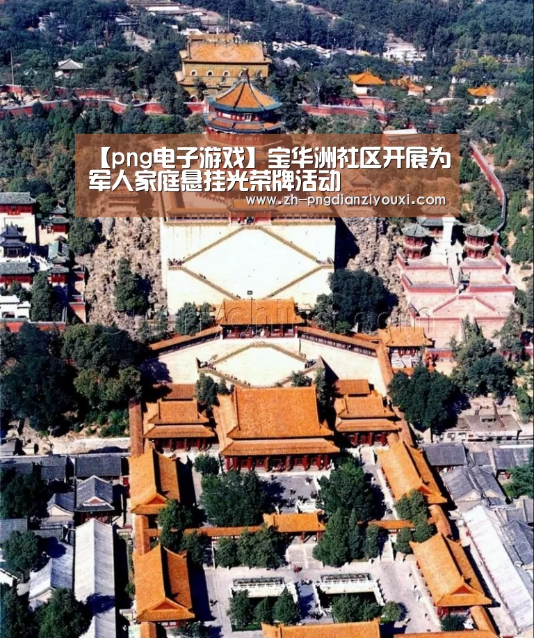 【png电子游戏】宝华洲社区开展为军人家庭悬挂光荣牌活动(图4) png电子游戏