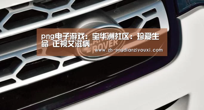 png电子游戏