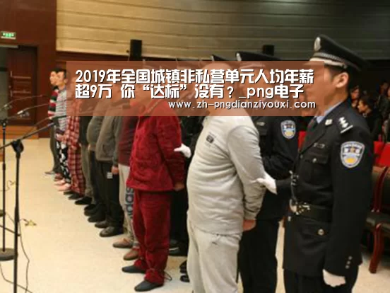 2019年全国城镇非私营单元人均年薪超9万 你“达标”没有?_png电子游戏(图2) png电子游戏