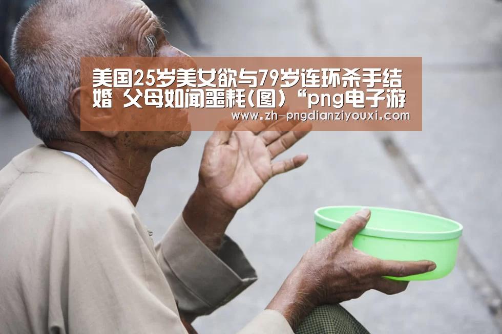 png电子游戏
