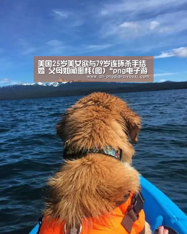 png电子游戏