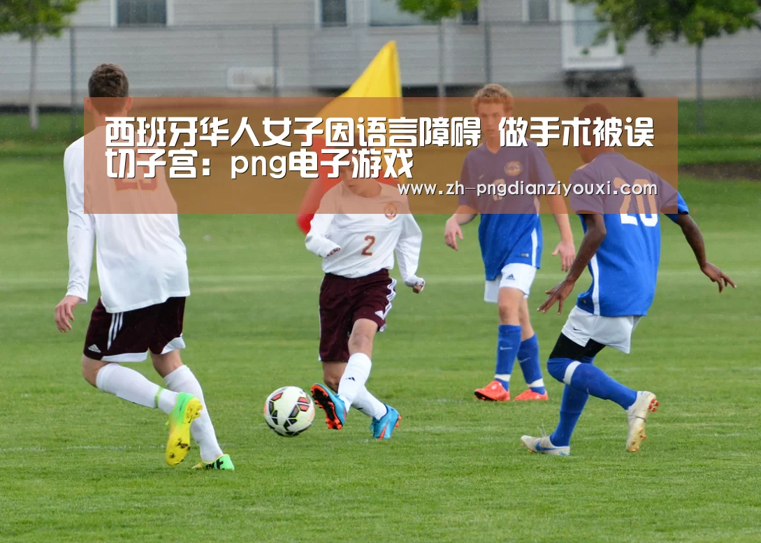 png电子游戏