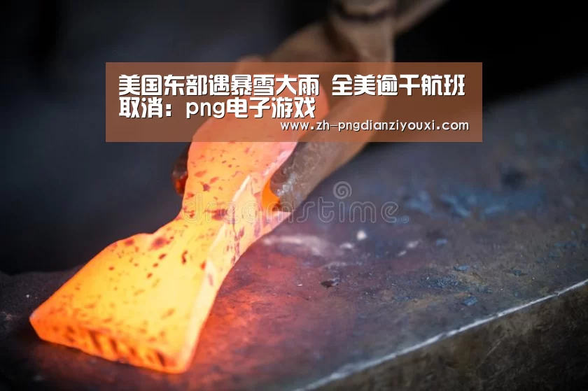 美国东部遇暴雪大雨 全美逾千航班取消:png电子游戏(图2) png电子游戏