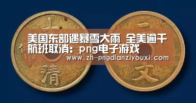 美国东部遇暴雪大雨 全美逾千航班取消:png电子游戏(图1) png电子游戏