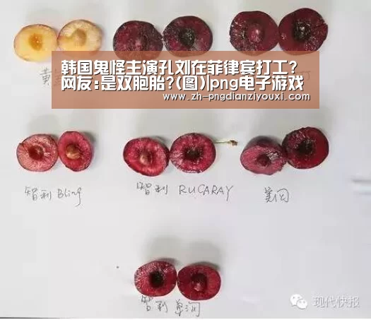 韩国鬼怪主演孔刘在菲律宾打工?网友:是双胞胎?(图)|png电子游戏(图3) png电子游戏