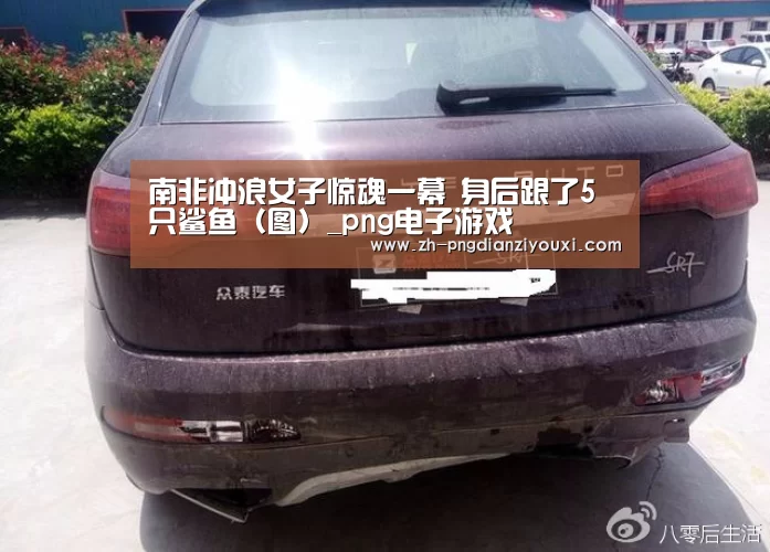 南非冲浪女子惊魂一幕 身后跟了5只鲨鱼(图)_png电子游戏(图2) png电子游戏