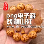 png电子游戏